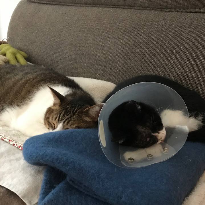 19c4b9f8 d39a 4111 b70c def7f8ec5ae7 1585479152202