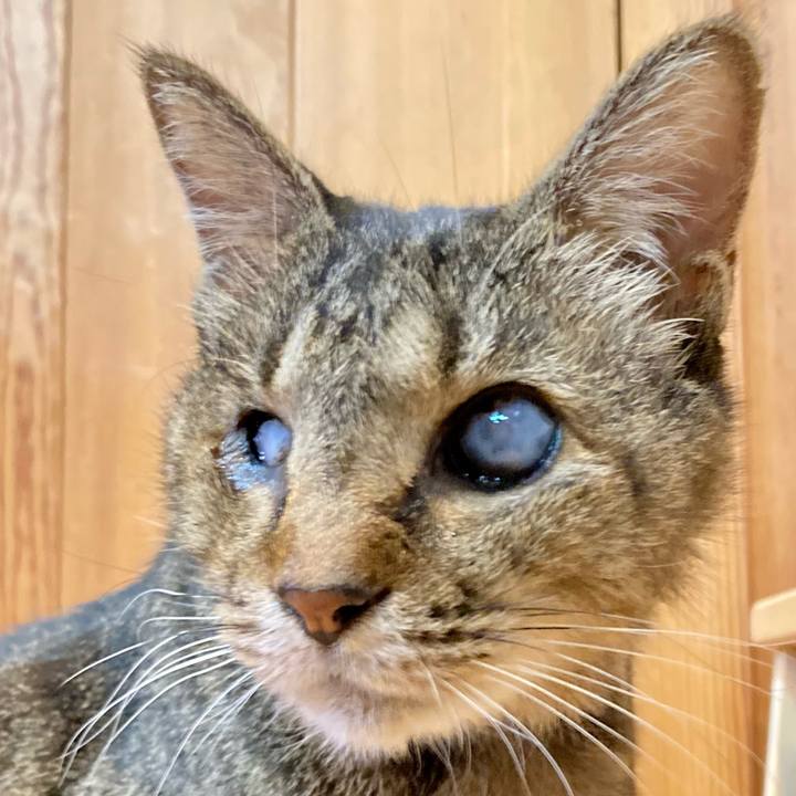 19c4cfa2 8d87 4c20 9a69 40af2af41324 1669714533717