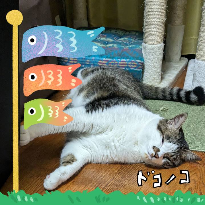 19c4da3e 6ecb 4aa8 9421 2c0d1e8dc42c 1714919221358