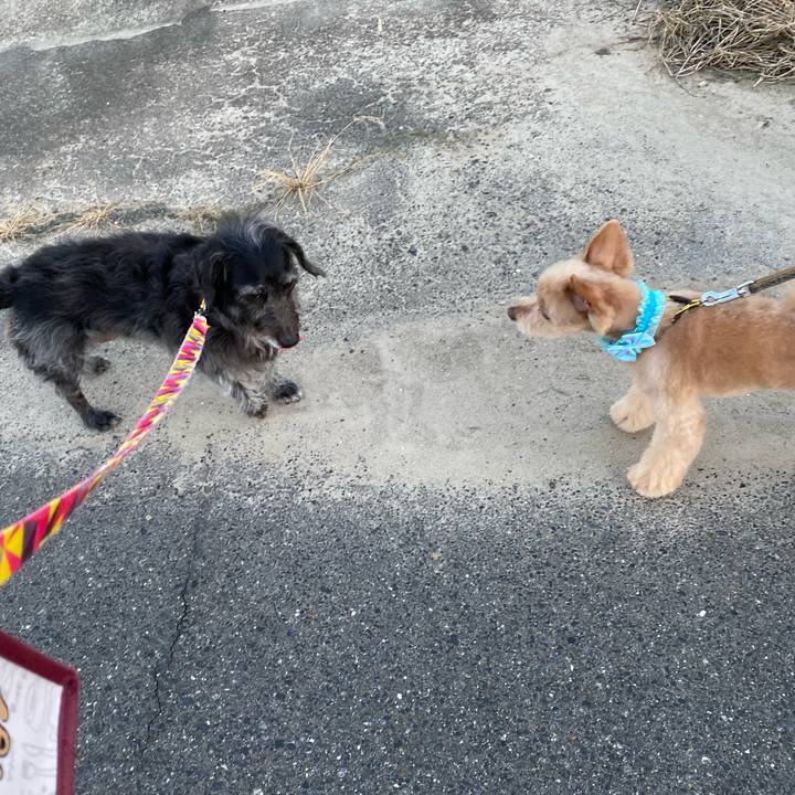 19c4e3f0 0633 4464 8313 91e28afa56ef 1663024535769