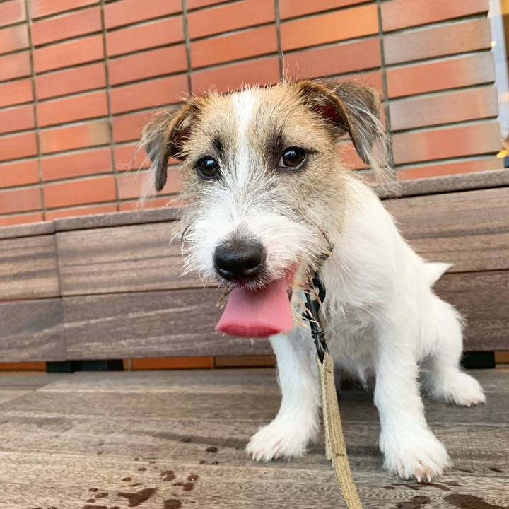 19c52b17 32e1 4285 9967 cc76e9aa7d41 1565864658073