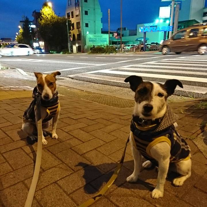 19c537d0 0f2d 443e 85de 15fa4109bb7c 1534590192357