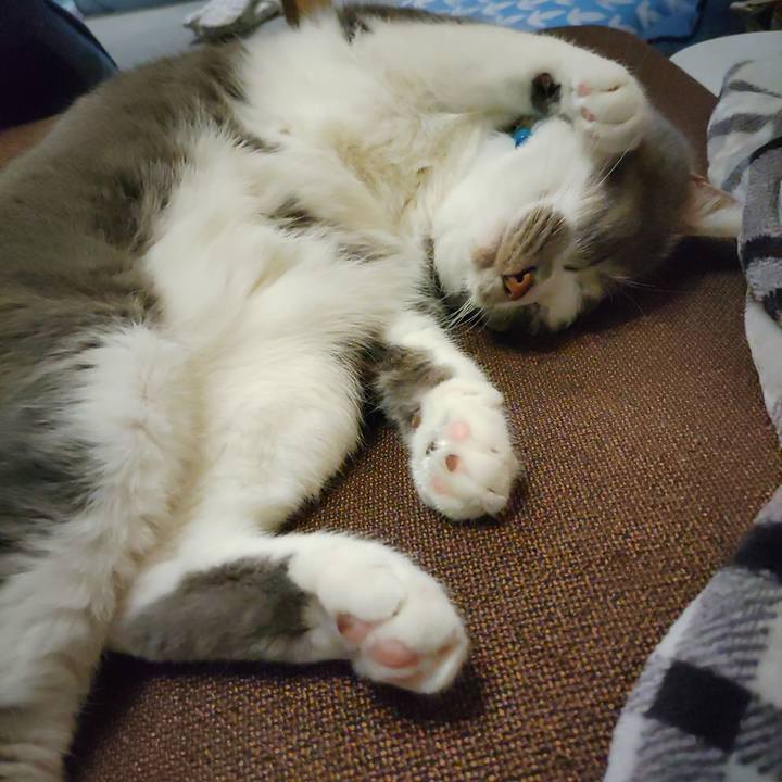 19c55e2c 0d9d 4e4f 923e 674f48172c9a 1714832326592