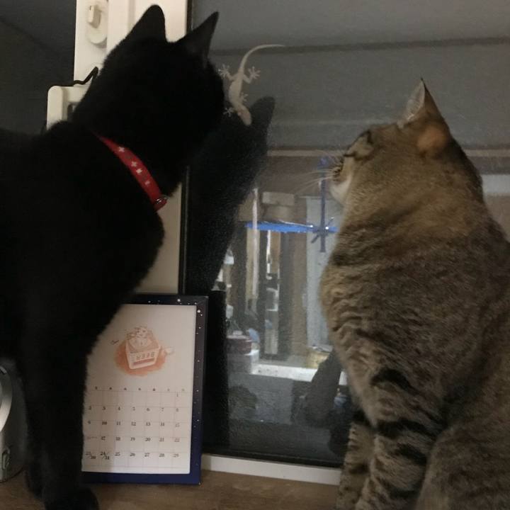 19c56cc7 8297 470a ac0d b74a51978bab 1531486414431