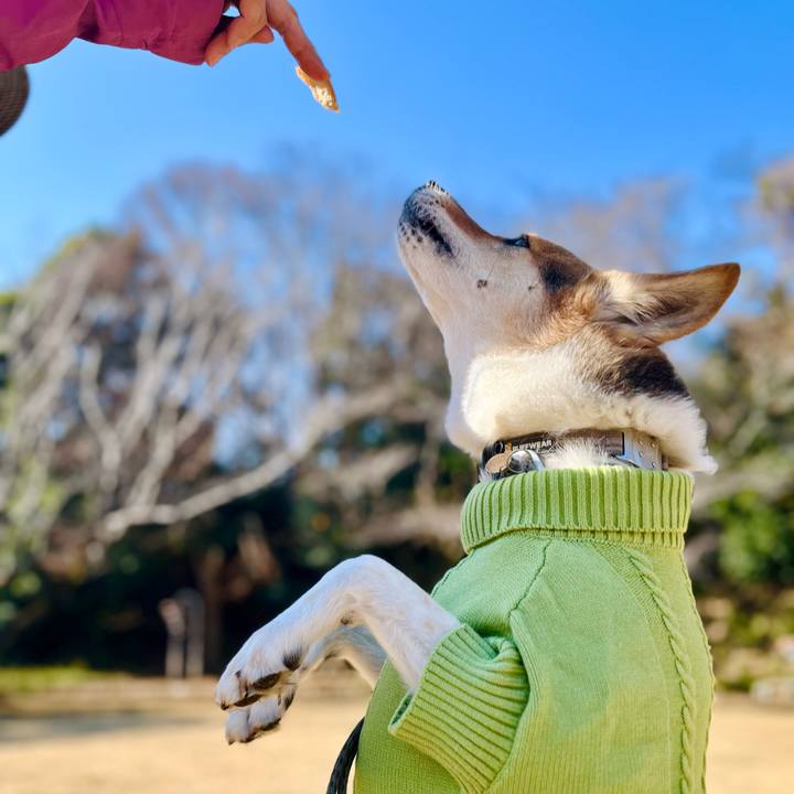 19c57c28 33dd 48f8 8601 e7a6ea1d27ee 1766100928143