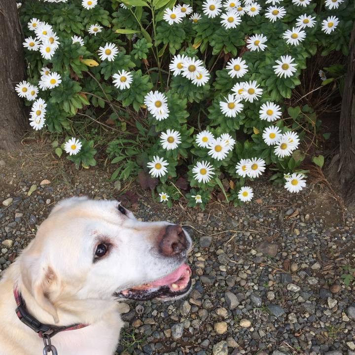 19c59212 a9fb 494e bdd8 53a696a61bc7 1623127549322