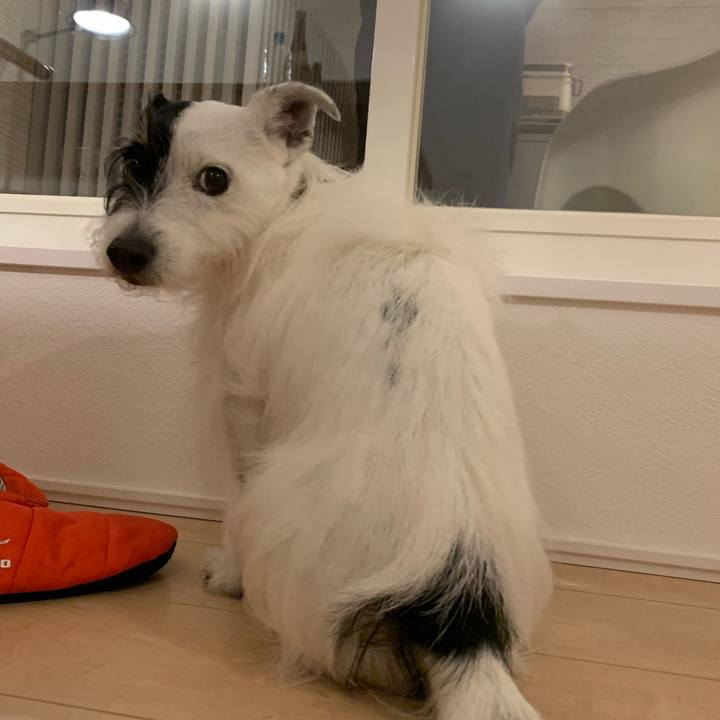 19c59279 2cd8 419c bce8 dcacbeb7968e 1703840819210