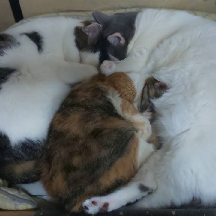 19c5c7ce 2bdf 47b2 b9d8 6cc43e2675e9 1683779870625