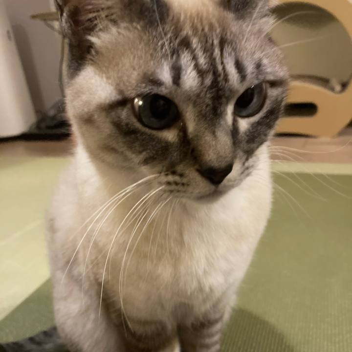 19c5e431 9b61 48f5 b58a bf9fb9cf441f 1673951015006