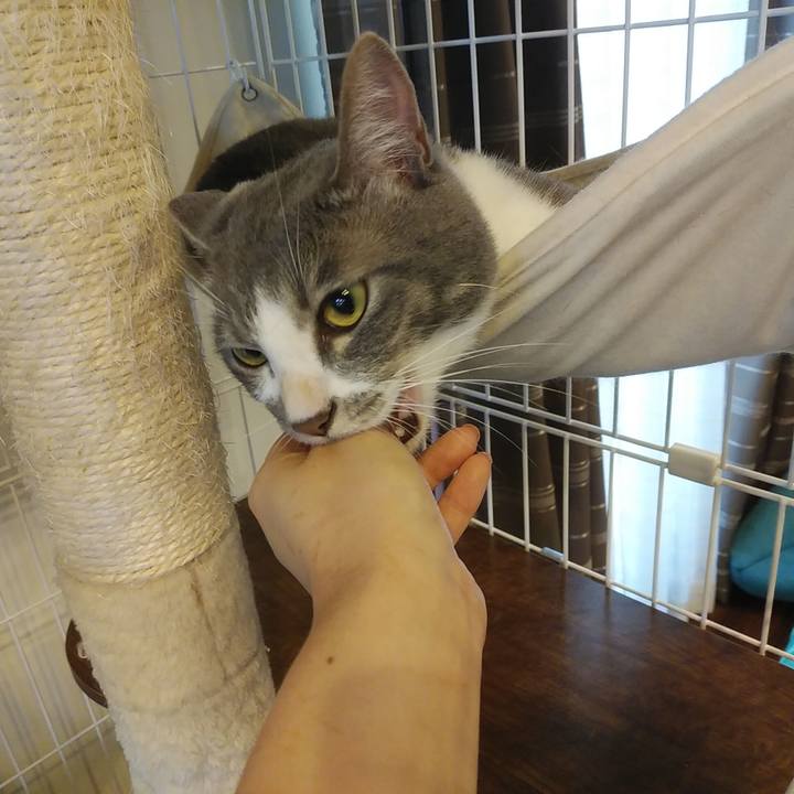 19c5e89e 416d 495a 9262 c984047549ca 1593991909056