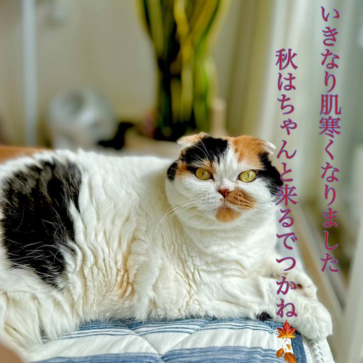 19c6521d c95b 4489 91dd 1fa9425877b2 1695262513262