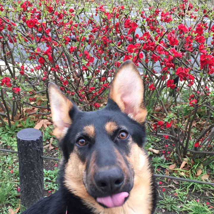 19c68b2a 7120 4cc7 95bd 61aca31a35b1 1520732094027