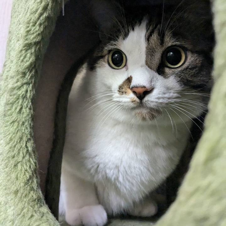 19c69d9f 9d81 4c92 a2ab bd5b56ef812b 1730441805652