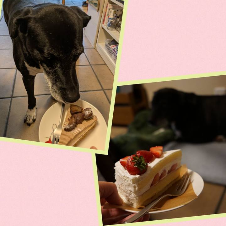 19c6a0ad bed5 4251 94ea 9998948f035a 1760353275502