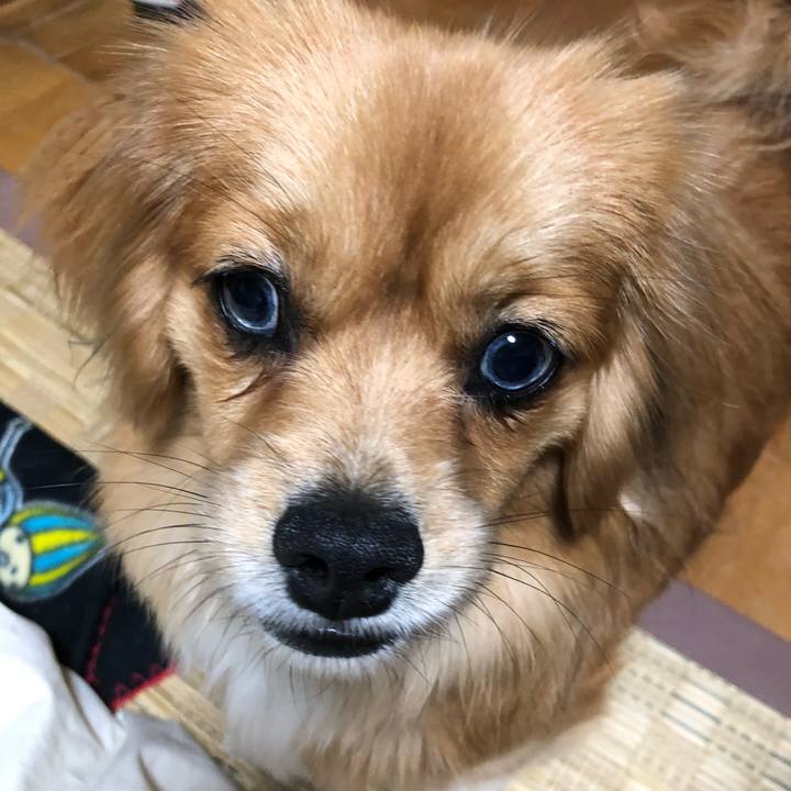 19c6bc9a 0f78 4ef3 ac31 0e488fcbb599 1521669470165