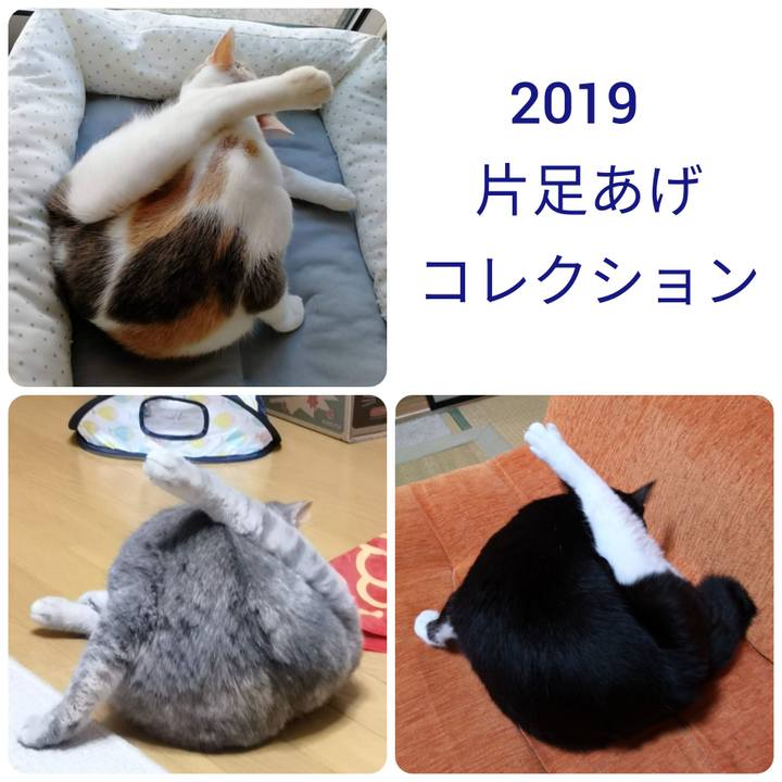 19c6ebcf e5d1 4ad6 a235 33898044c721 1568902001366