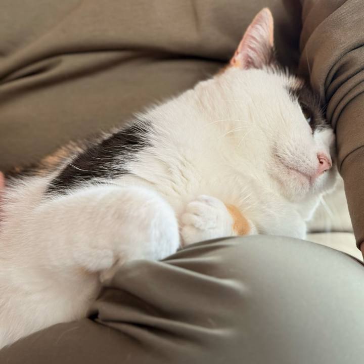 19c72781 5163 48c3 bd20 4bbf039500b3 1730855435511