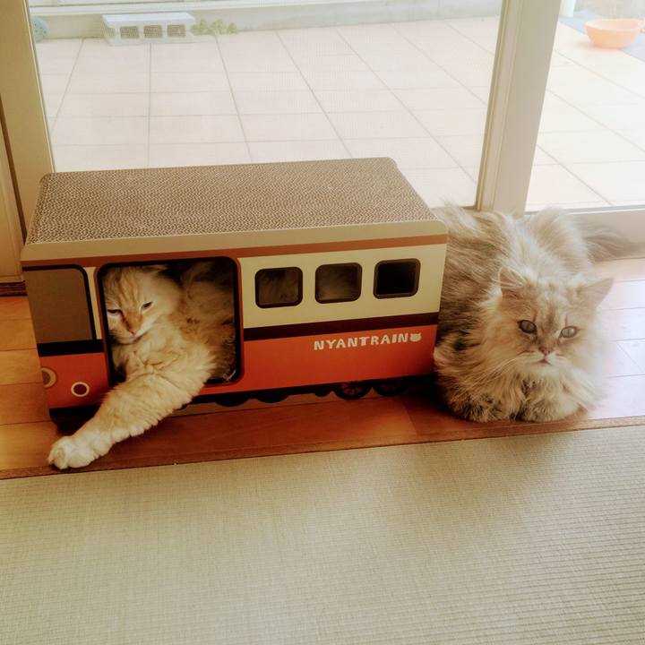 19c72f1f 7803 482d bd9c fdcf1e2e2f55 1716450085104