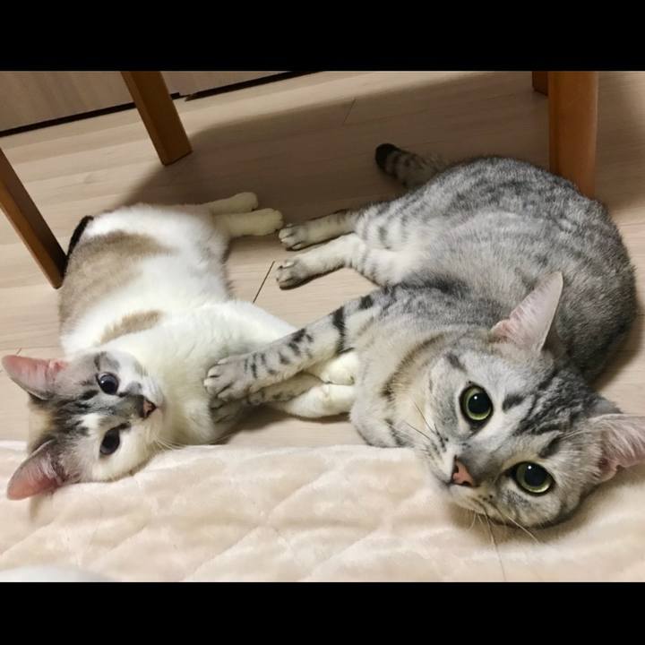 19c73aed fb9a 4644 b13f 4f3c14f5968d 1522937763202