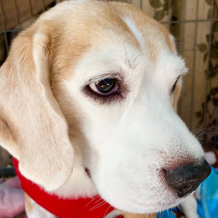 19c74868 d813 42c9 8f15 94198a78ff8c 1603607200252