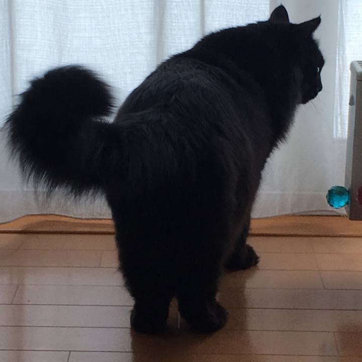 19c763ff 3878 4544 8002 1871320d0a7c 1549769715136