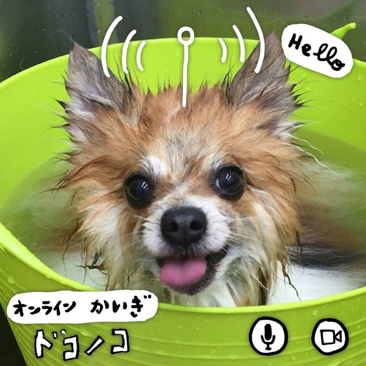 19c78e81 850d 4686 9837 6890cea3c43b 1591081720241