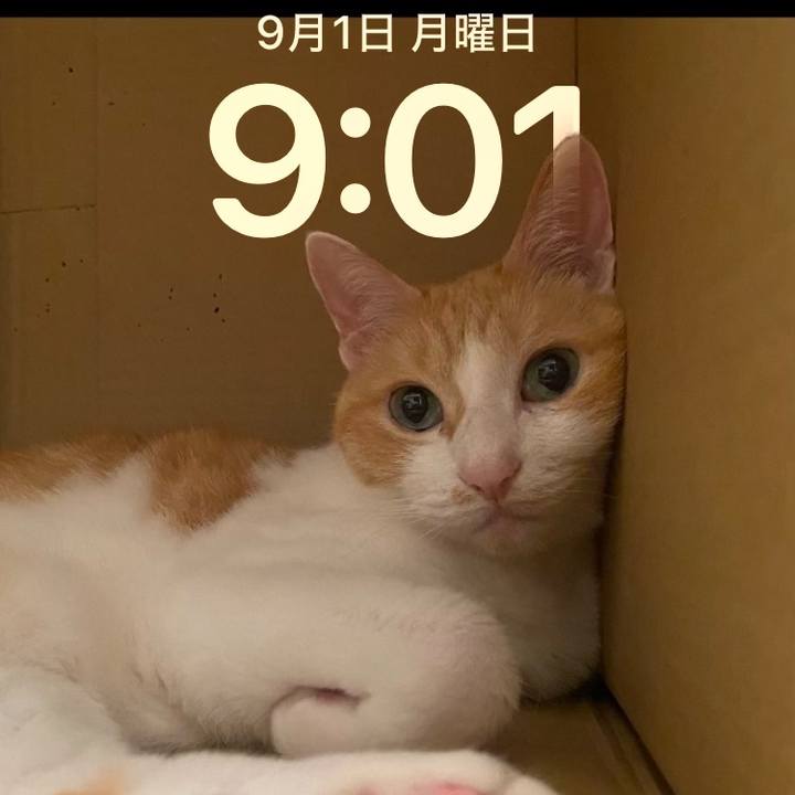 19c7c187 7d24 48b3 bf6b 3949786db1af 1756684937666
