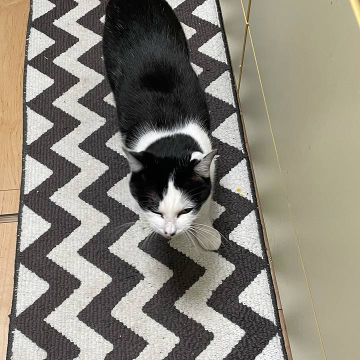 19c7efbc 868f 4111 bf37 7c46e305c10e 1646242893827