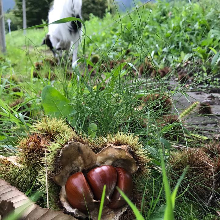 19c82986 ef76 434d 9062 40d1b8e1a641 1536652089102