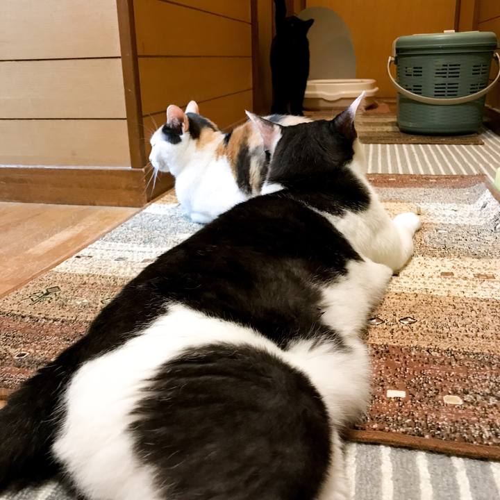 19c82d30 0cfb 4149 8a55 e15279a1d36c 1530492390056