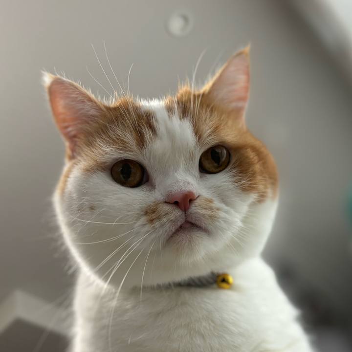 19c8435a 92a0 4172 8eb4 e32a980c4506 1732618689912