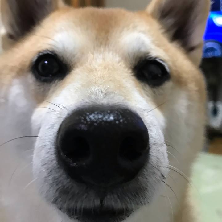 19c89d4d 64a4 4433 9bd2 010d29b71493 1542023488865