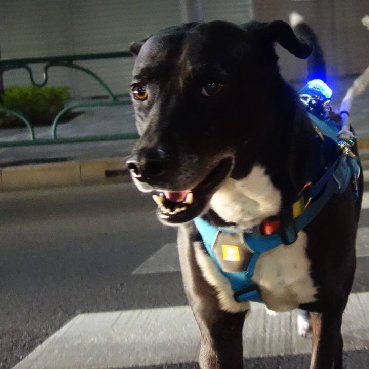 19c8d102 29f8 4079 8601 10b62b2f8b1a 1678704367804