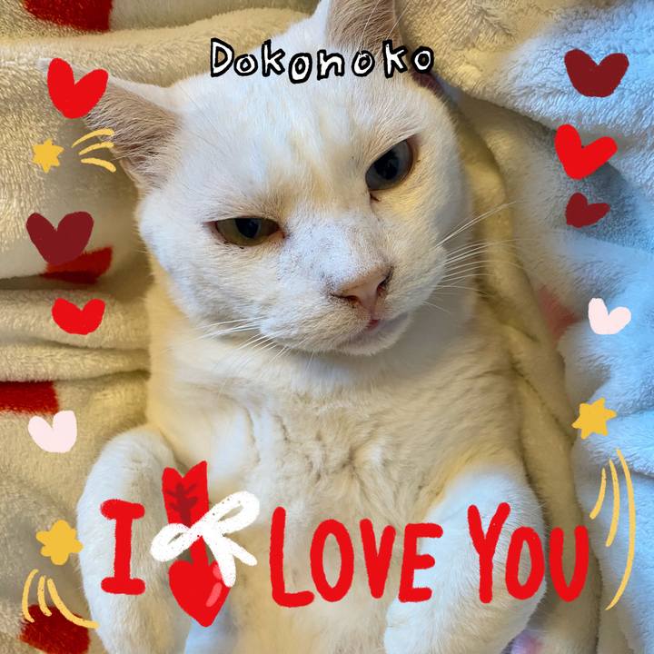 19c933a9 b1ff 42bd b4d5 779a7b273c38 1706802065718