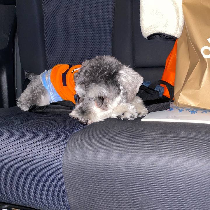 19c95d4e 9ece 4289 a7be c391a06660ad 1581860543470