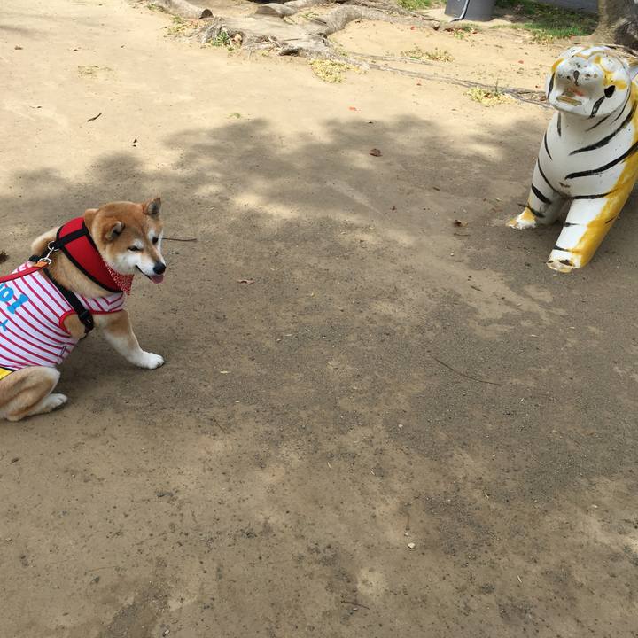 19c96dc0 a92d 433c ba26 bcc067aebb3d 1585287993941