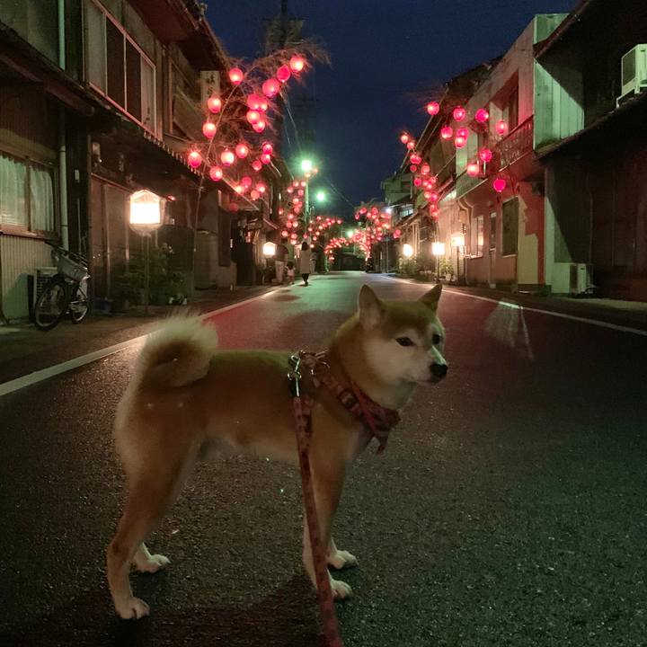 19c9b882 55ee 4a19 8055 c8c3530a8bda 1594983330669