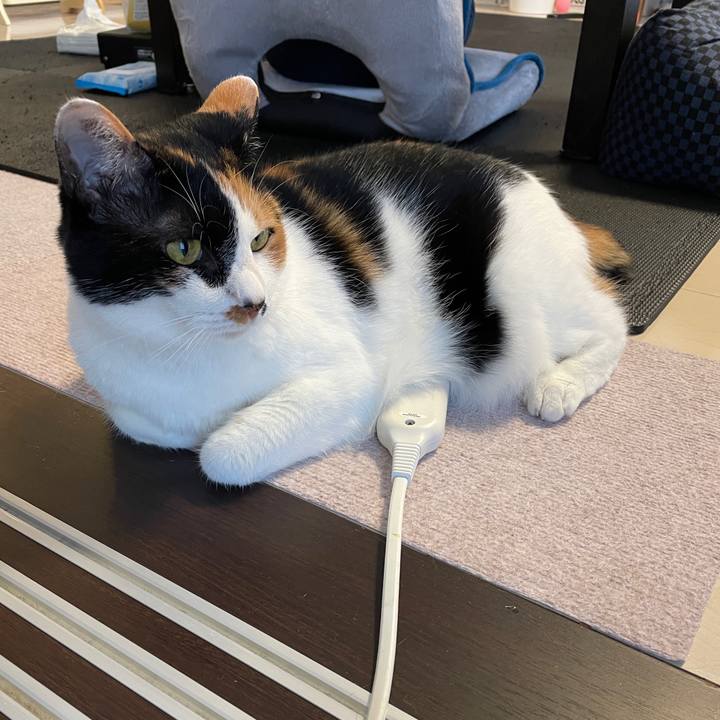 19c9d0a8 96fd 4f1f b9b6 def88938daa2 1622024002660