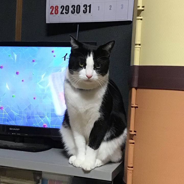 19c9d1e6 1970 431a a5cb c02f75b4868e 1705484163220