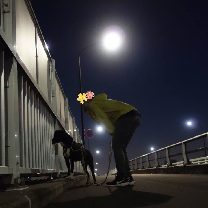 19c9d934 57f4 4dab a471 96ef0538cfe6 1647340002349