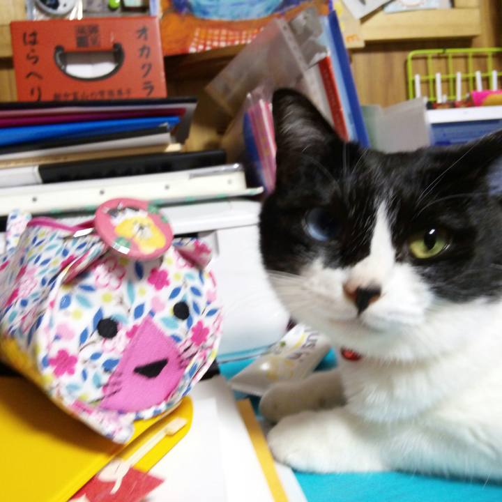 19c9ddef 536a 41ea 9f72 5dc1b0852554 1519555366847