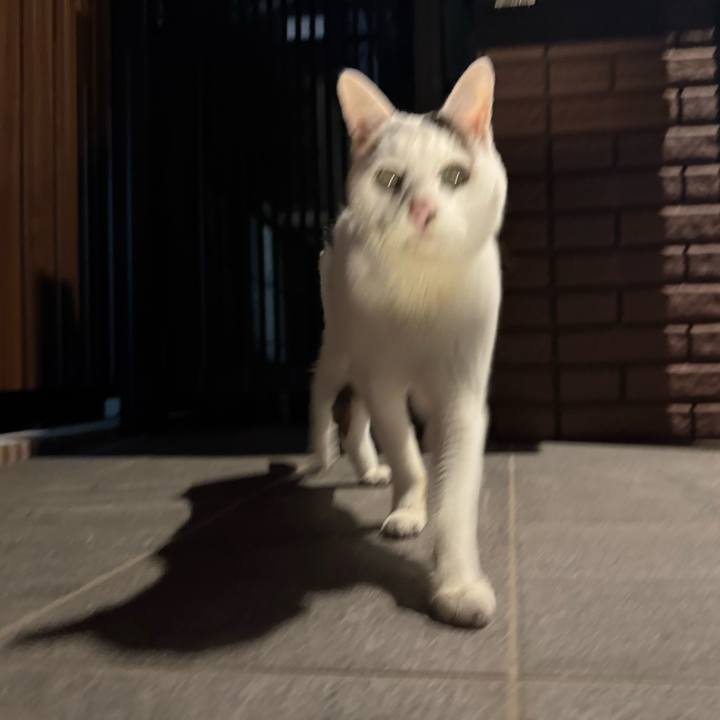 19c9f5e4 4287 45da 9e8d 8b412ca8d1f7 1764146532228