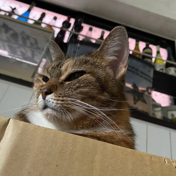 19ca4758 3ae4 483a bf82 62e9226ccd97 1600299503996