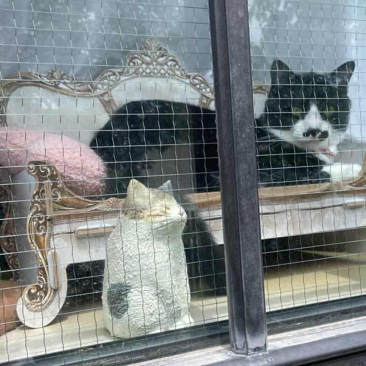 19ca8d7e 3657 44eb 8d98 bff6d2e34375 1747881978928