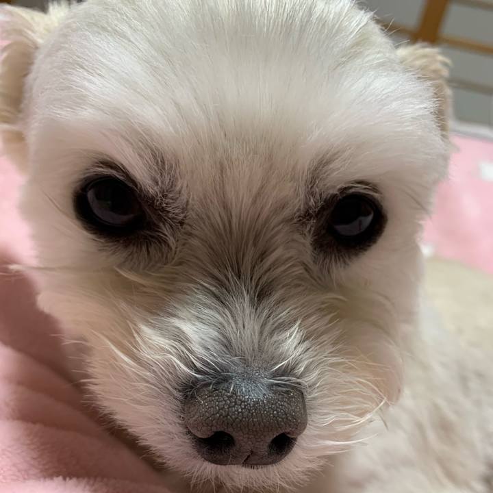 19ca98a7 e7a6 4567 b916 fcd68c438c1f 1641293773573