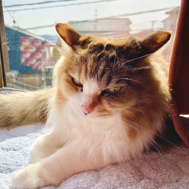 19caa1bd 4d18 4f4b 892a 78d7008fdd8e 1678513911043