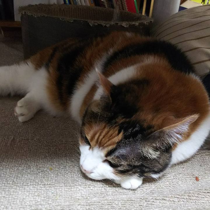 19caac6b 370a 4ab7 a759 bd5b8b2de1c4 1533246219171