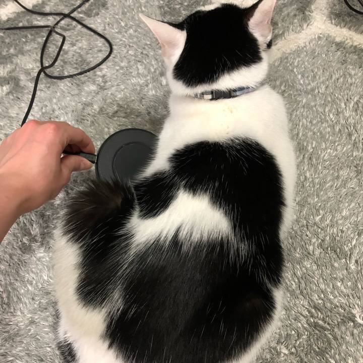 19cabaeb 78b4 4925 a13b 391dfcf88e79 1549288810388