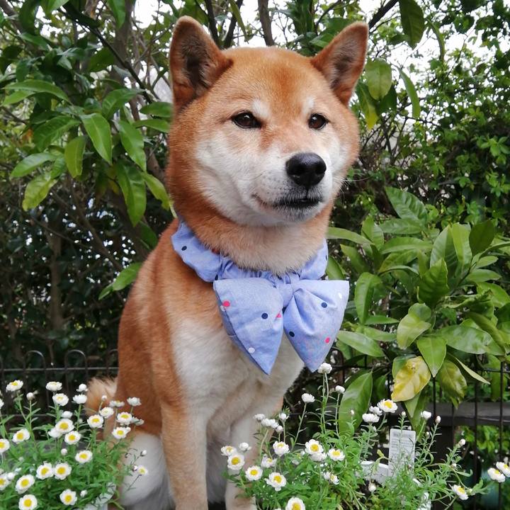 19cad09c 5d8a 497f a492 c9b41f06f758 1585552976443