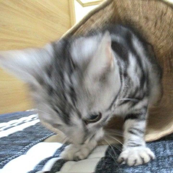 19cae375 39be 4595 a7df ceaed6334c01 1539298328047